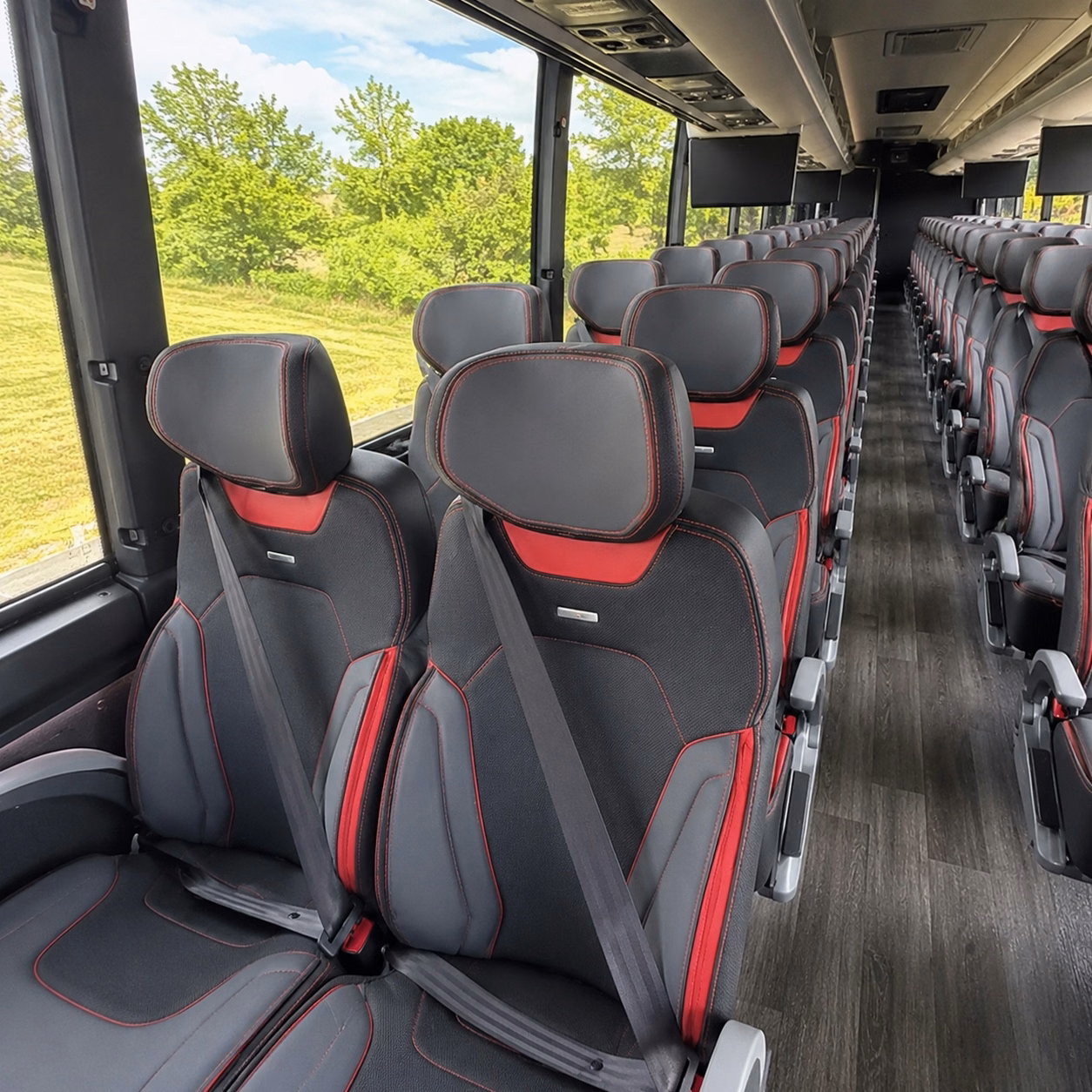 compare group transportation in meridian in one search